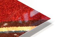 Carpet 36 HD Metal print