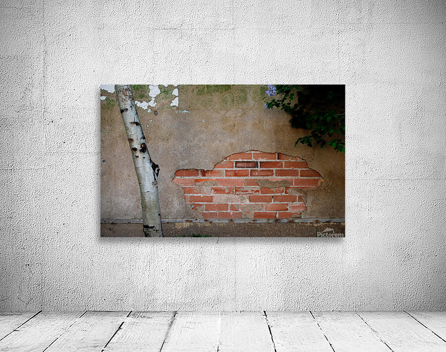 DSC 0066 Wall Preview