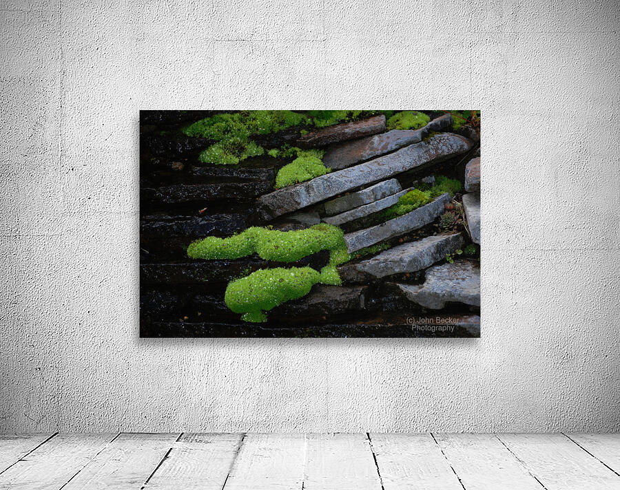 Mossy Rocks Wall Preview