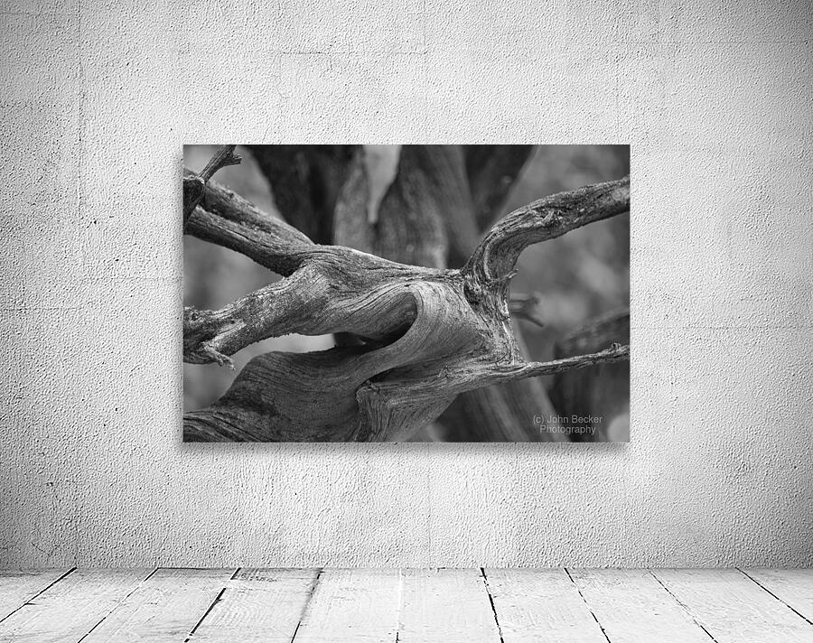 Gnarly Branch Wall Preview