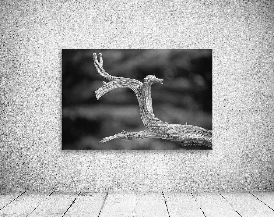 Lonely Branch Wall Preview