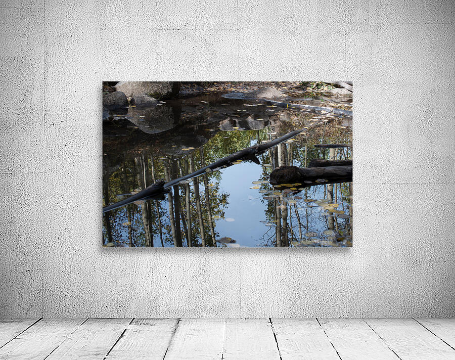 Aspen Reflections Wall Preview