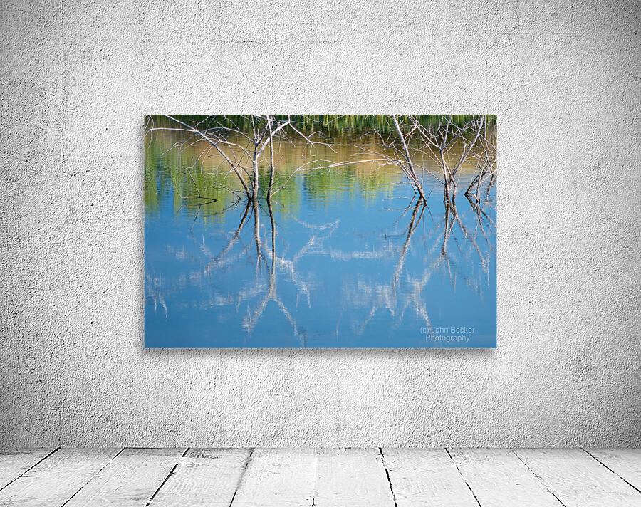 Reflected Branches Wall Preview