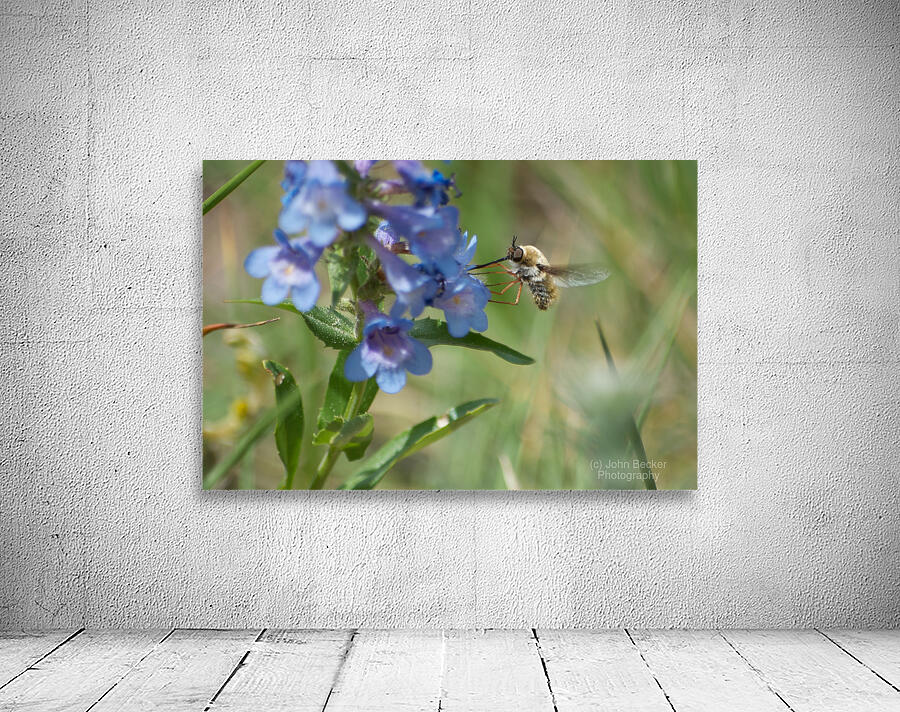 Thirsty Bee Wall Preview