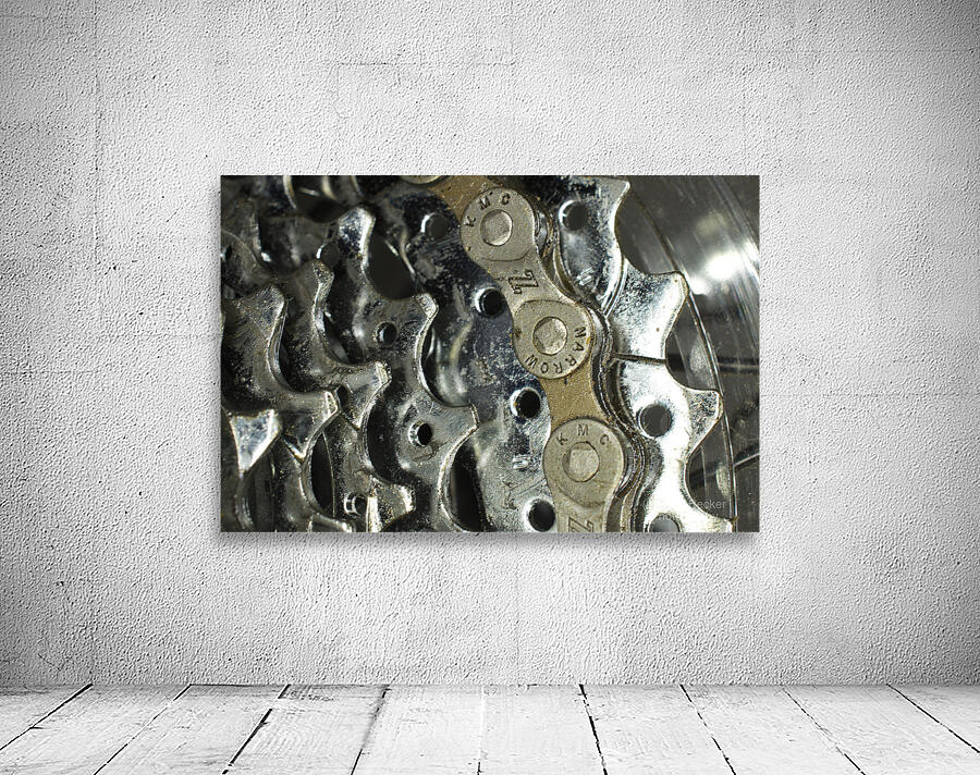Bicycle Gears Wall Preview