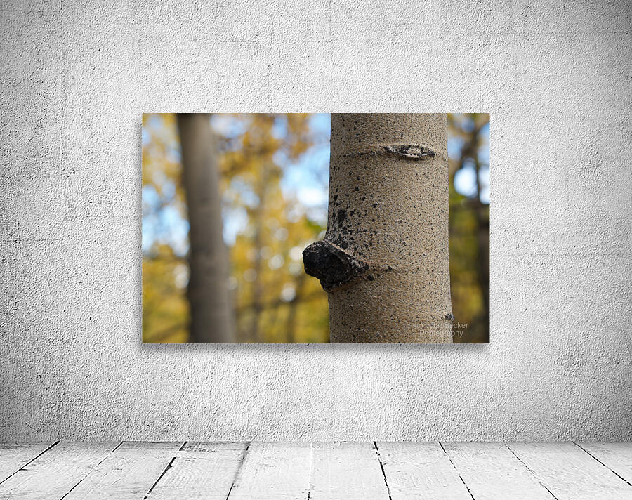 Tree Trunk Wall Preview