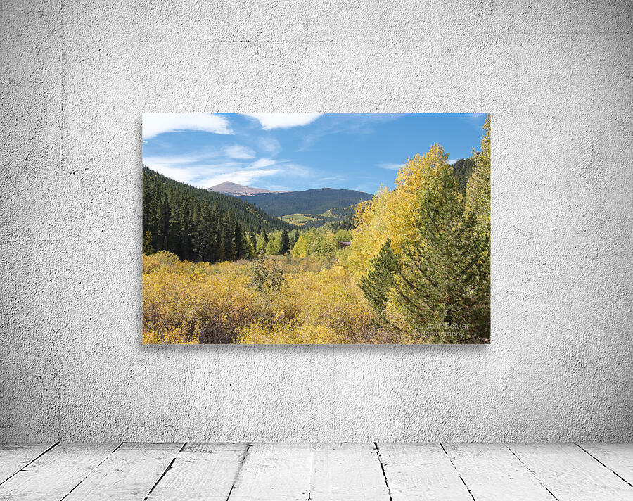 Fall Colors 4 Wall Preview