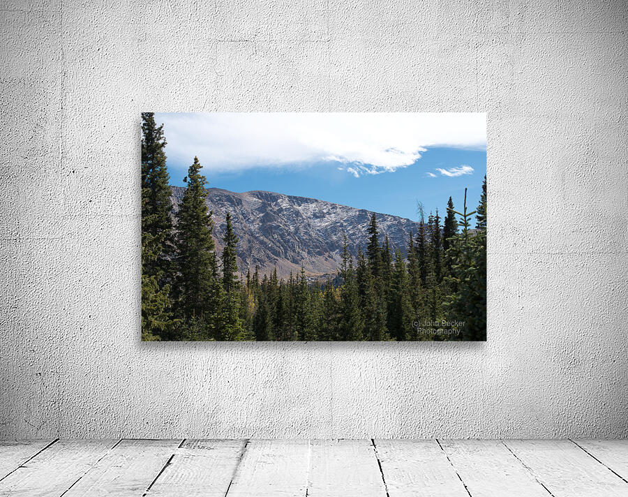 Evergreens Wall Preview