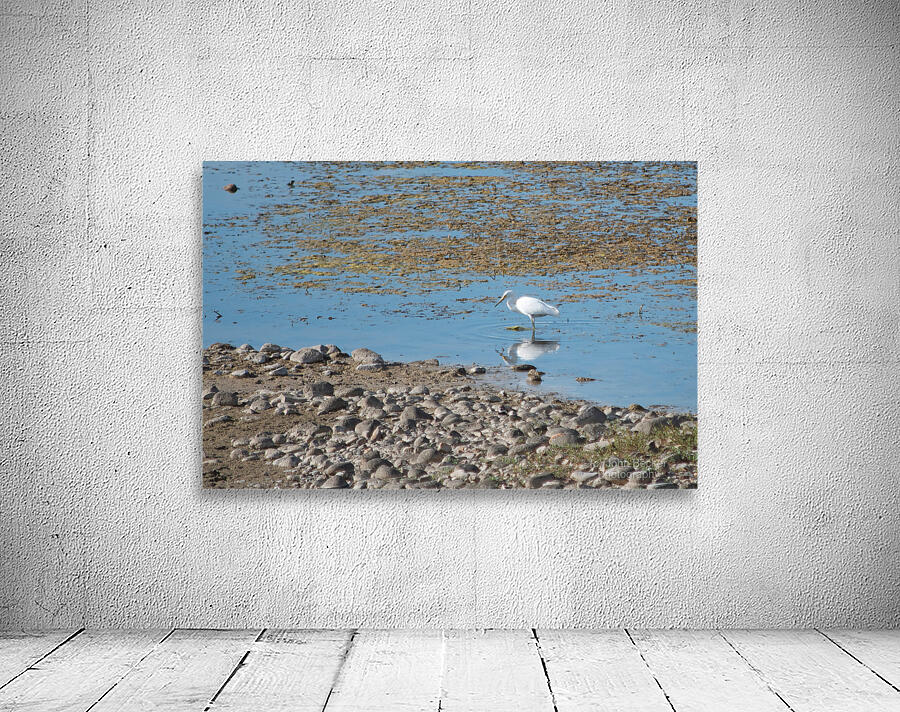 Lake Bird Wall Preview