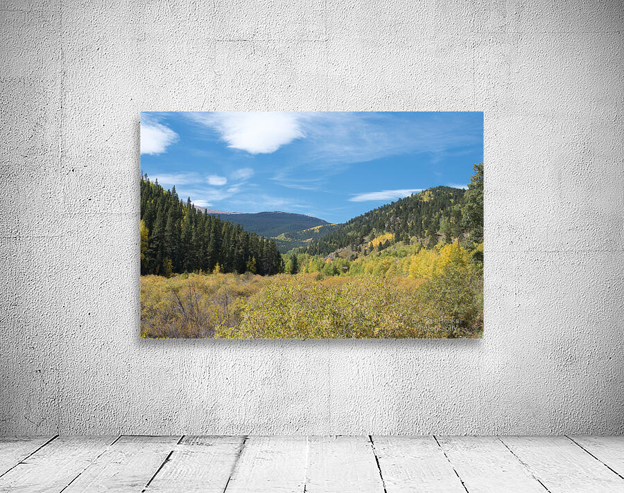 Fall Colors 2 Wall Preview