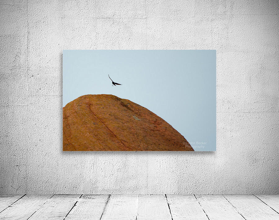 Roxborough 2 Wall Preview
