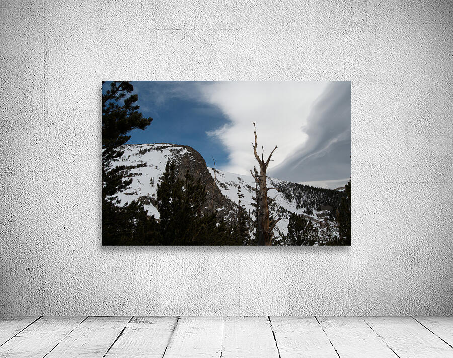 St. Marys 1 Wall Preview