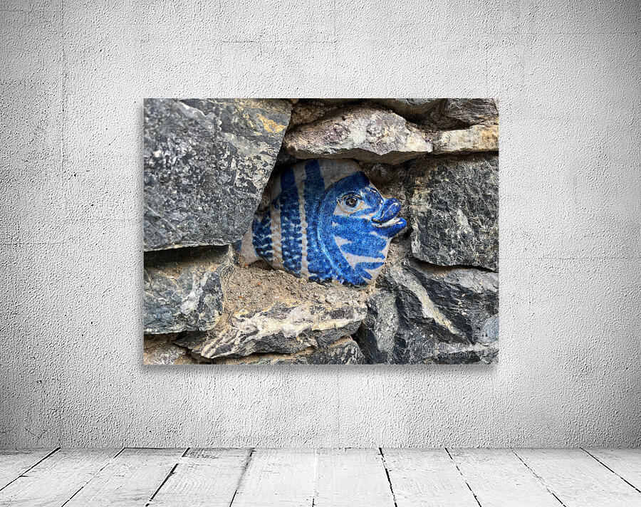 IMG 2110 Wall Preview