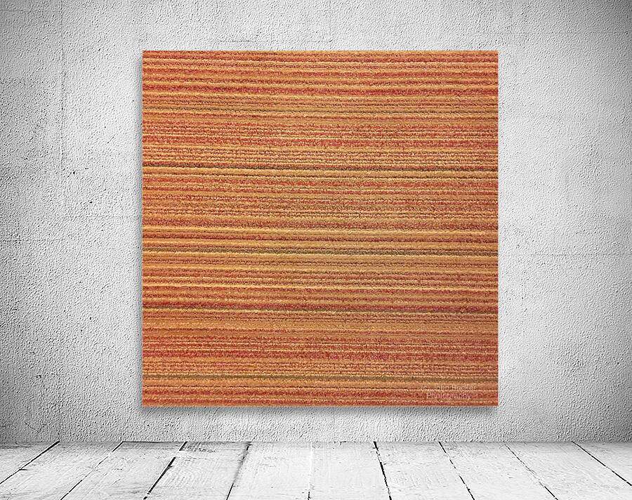 Carpet 29 Wall Preview