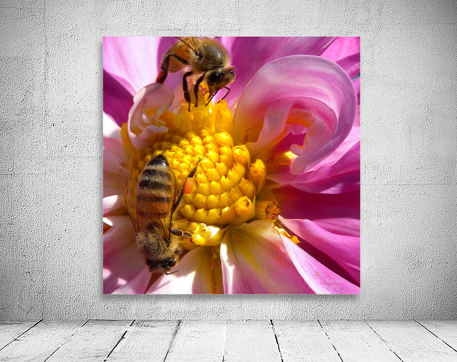 DSCN2333 Wall Preview