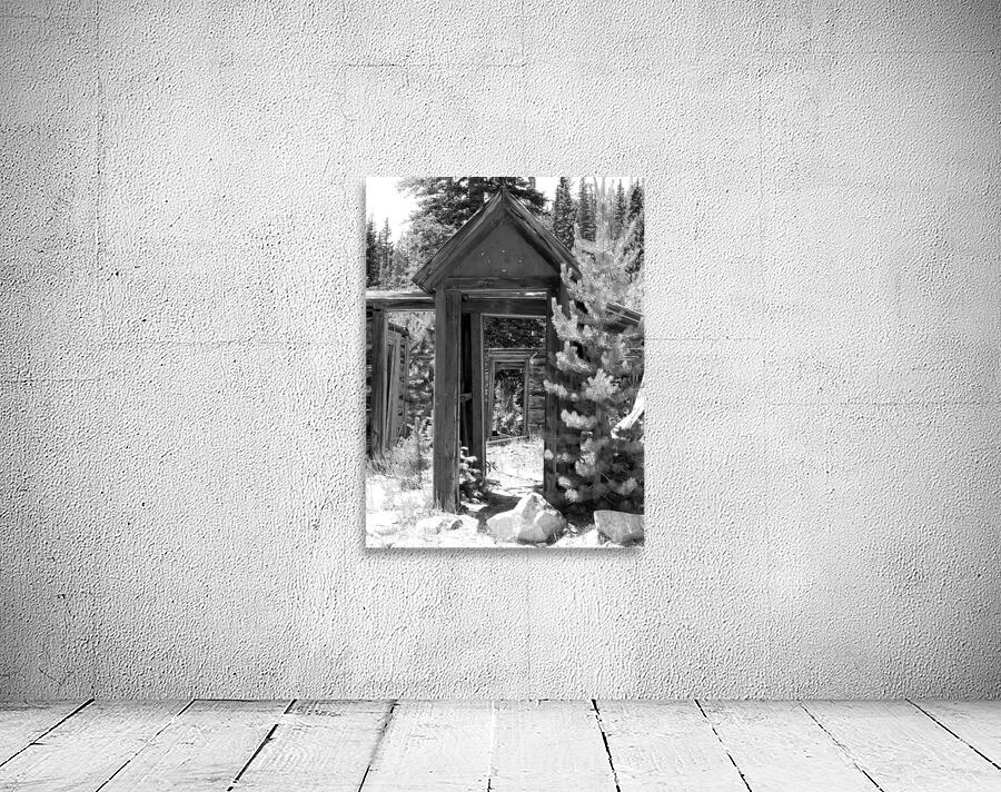 DSC 2518 Wall Preview