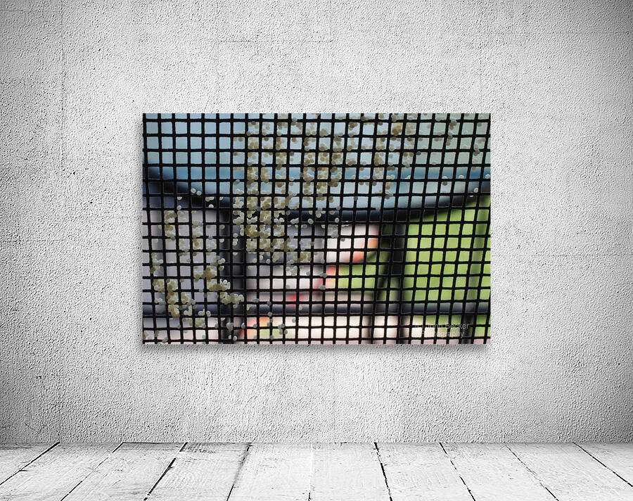 Moth Eggs on Screen Wall Preview