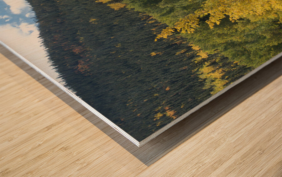 Wavy Fall Colors Wood print