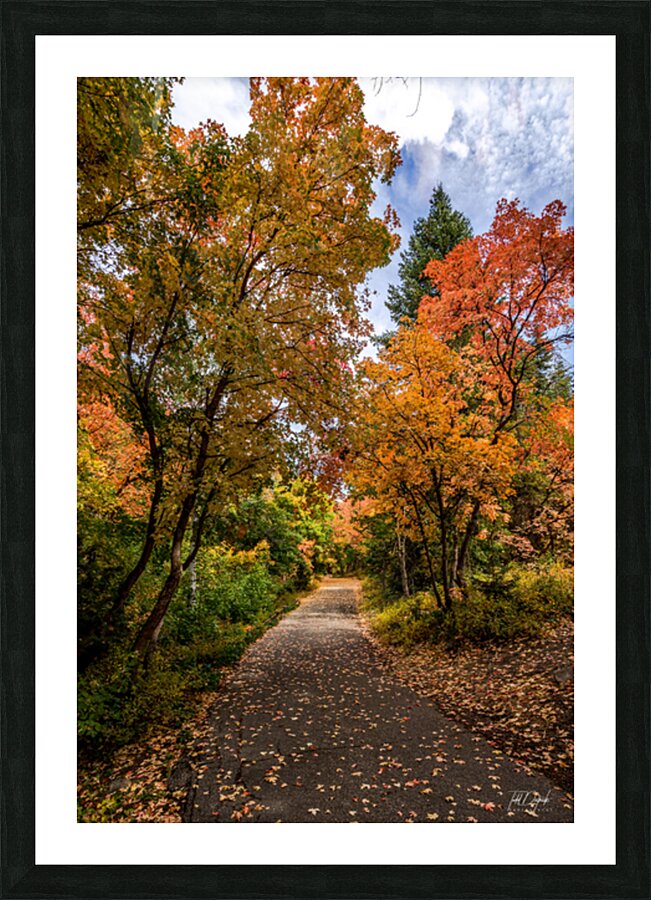 Alpine Loop Road of Colors Picture Frame print