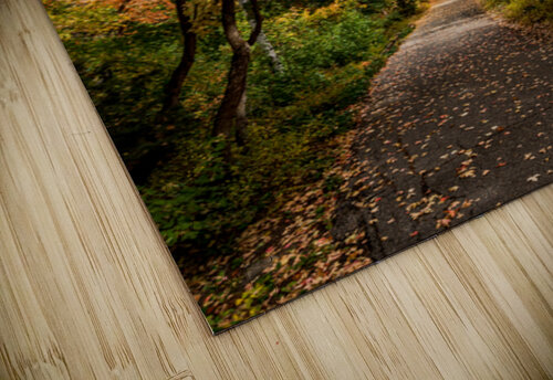 Alpine Loop Road of Colors Todd Deitrick Photography puzzle