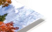 Alpine Loop Road of Colors HD Metal print