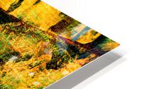Windwards HD Metal print