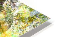 Starlight 04 HD Metal print