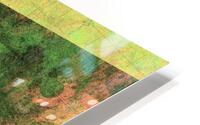 Avourneen: Clearance 06 HD Metal print