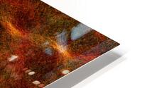 Bloomkins 02 HD Metal print