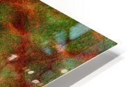 Bloomkins 01 HD Metal print