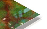 Bloomkins 03 HD Metal print