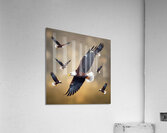  13 Acrylic Print