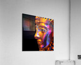 download Acrylic Print