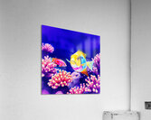  24 Acrylic Print
