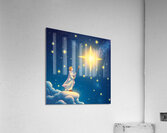  26 Acrylic Print