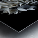   7  removebg preview 1 Metal print