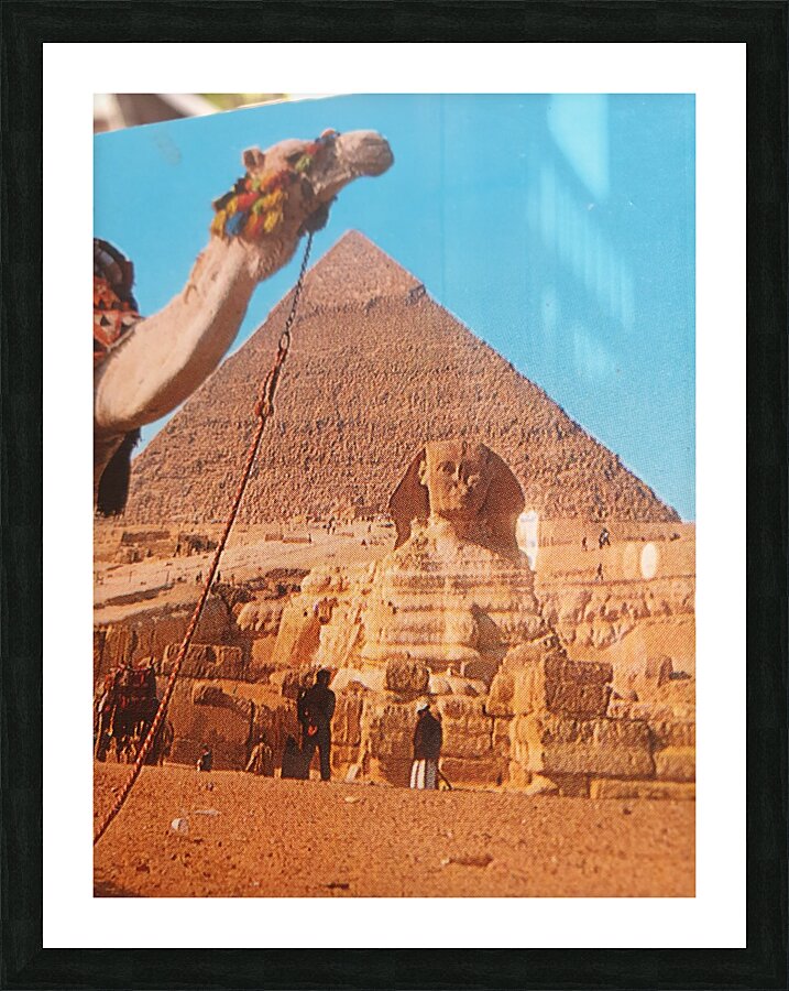 20220413 150359 Picture Frame print