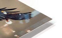 13 HD Metal print