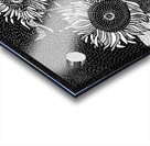 Three Sunflowers Acrylic print