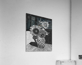 Three Sunflowers Acrylic Print