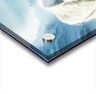 An illustration of an arctic fox with white fur  Acrylic print