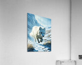 An illustration of an arctic fox with white fur  Acrylic Print