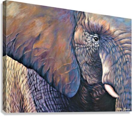 Sturdy Beauty  Canvas Print