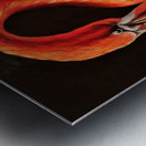 Gentle Defiance Metal print