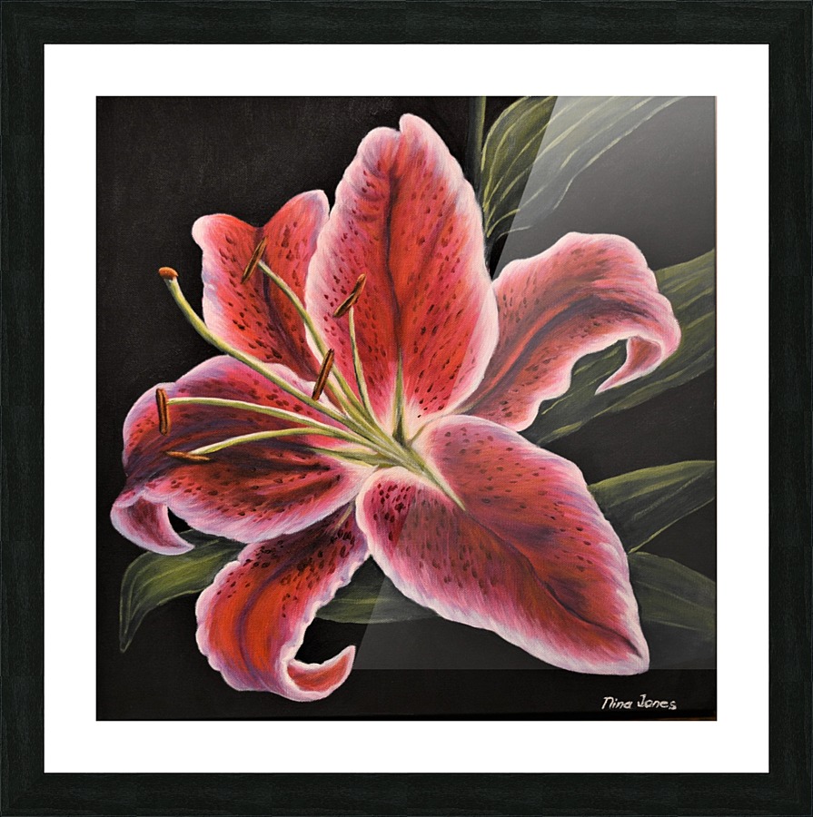 Stargazer Picture Frame print