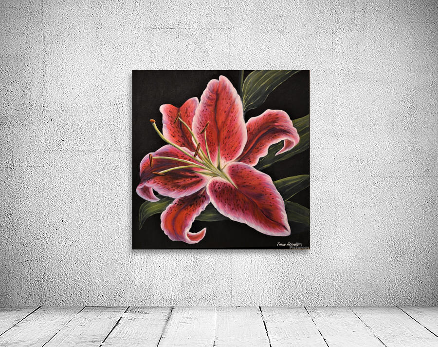 Stargazer Wall Preview