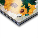 SunFlowers 2024 Acrylic print