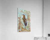 What Makes a Wader Acrylic Print