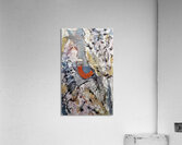 Focus  Acrylic Print