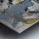 Focus  Metal print